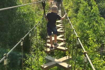 Ghaf Tree Forest
