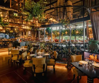Coya Restaurant