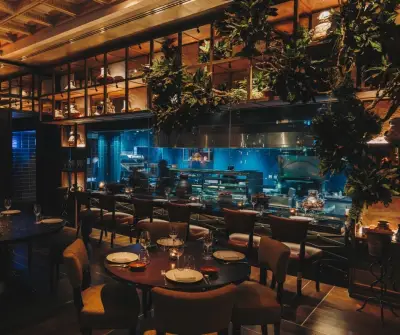 Coya Restaurant