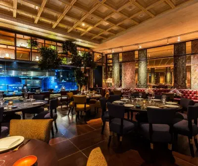 Coya Restaurant