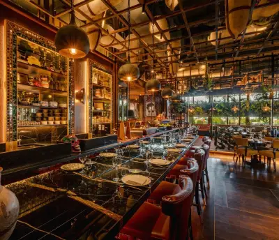 Coya Restaurant