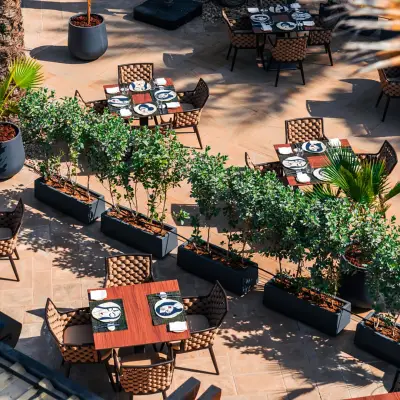 Terrace2