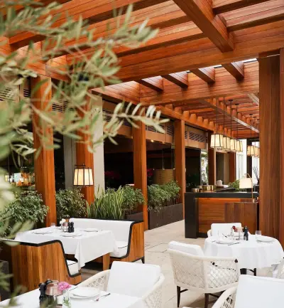 Terrace
