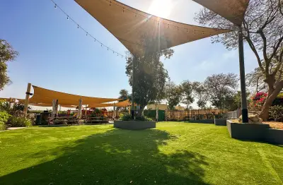 Reform Lawn