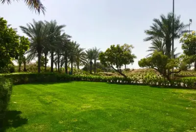 Garden Lawn
