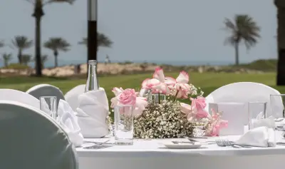 Dolphin Lawn