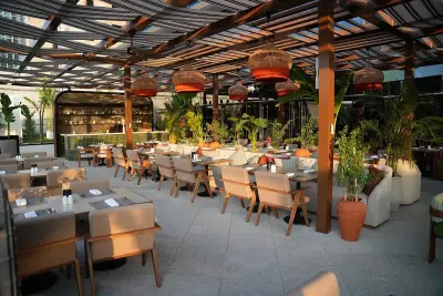 Terrace 1