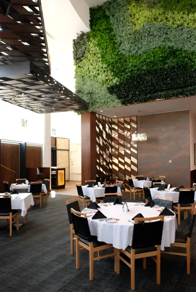 Fogo de Chao