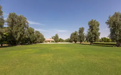 The Olive Garden