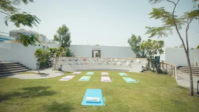 Garden (Outdoor Area)