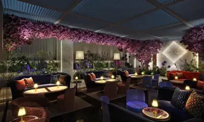 Loungete