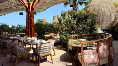 Terrace