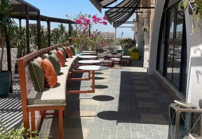 Terrace