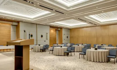 Meeting Plus 6