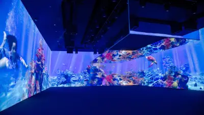 Immersive Gallery (Off-site)