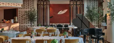 Novikov Abu Dhabi