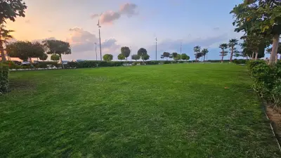 Small Lawn- Dubai Islands Marina