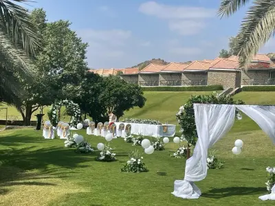 Palm Tree Garden