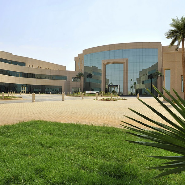 Al Yamamah University