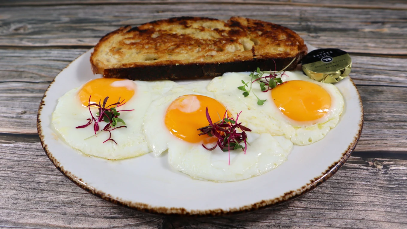 Food Photos