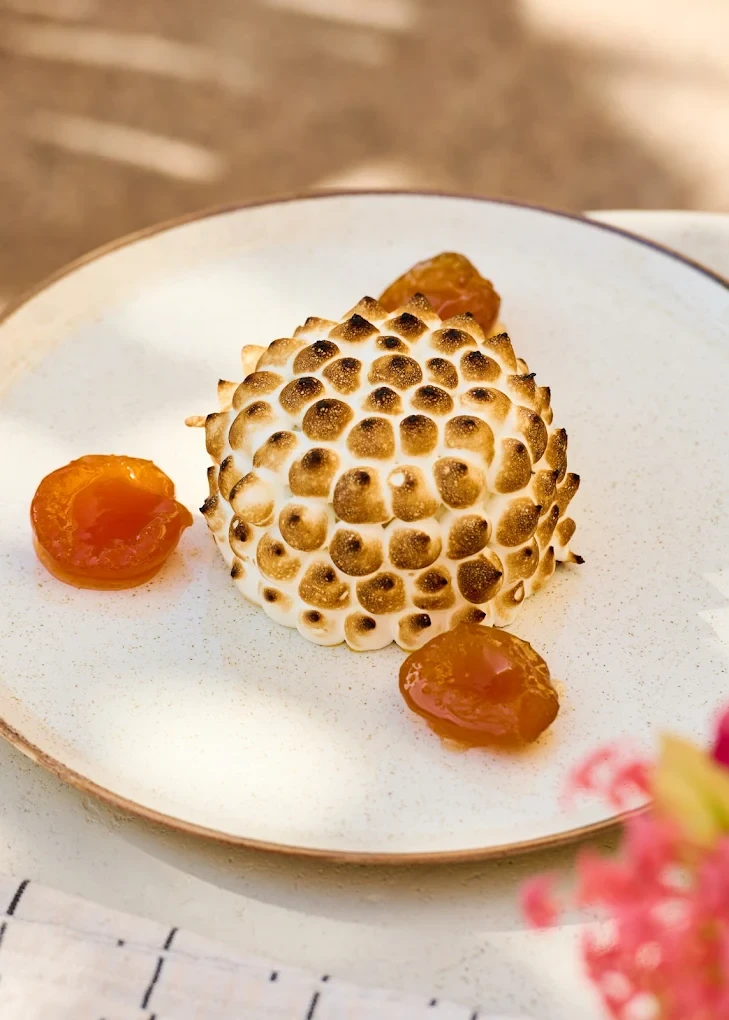 Apricot Dubai Cafe Downtown Dubai