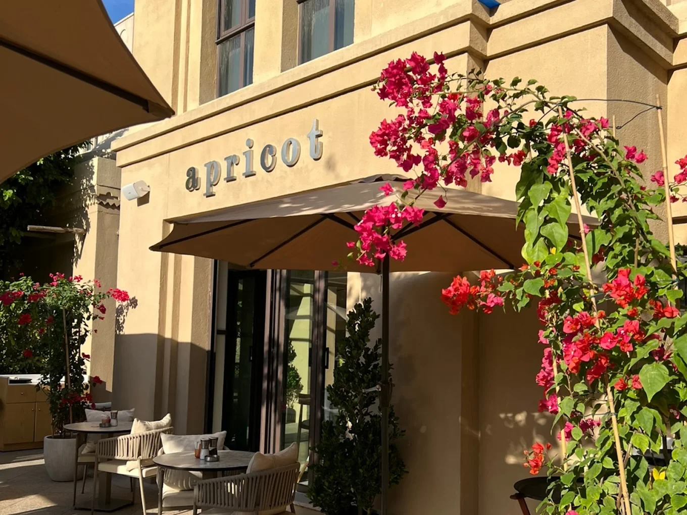 Apricot Dubai Cafe Downtown Dubai