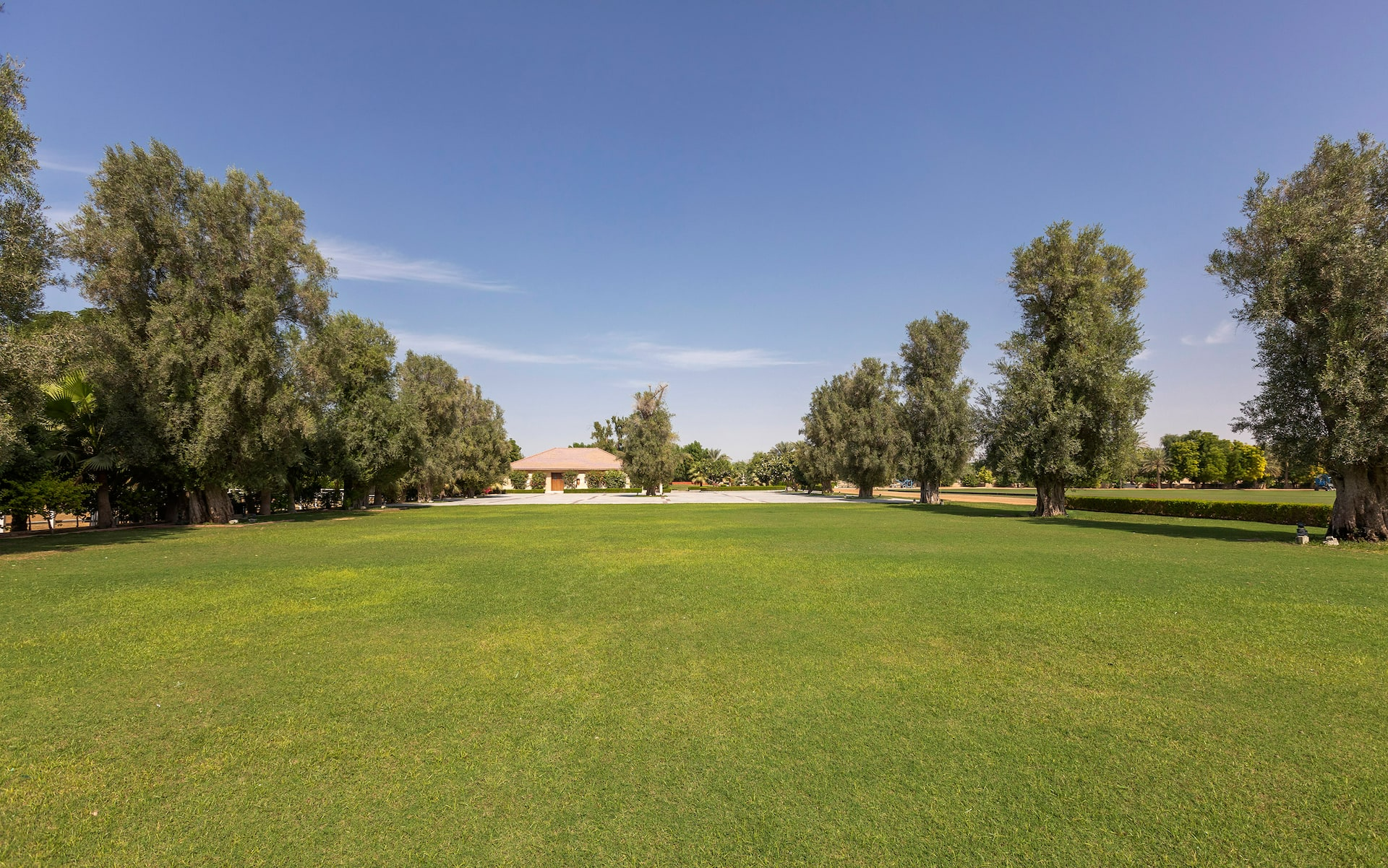 the_olive_garden