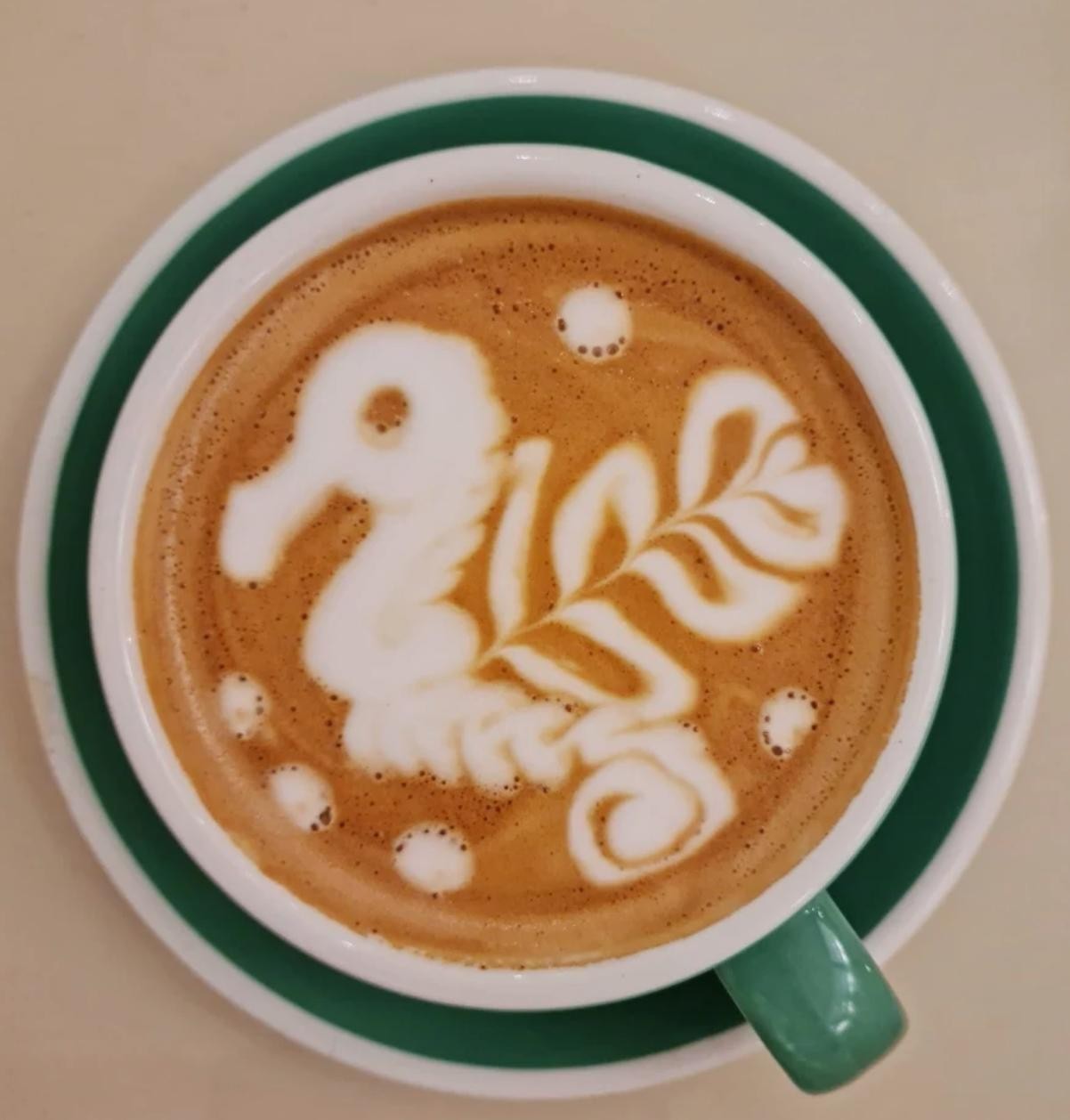 BRUNA speciality coffee