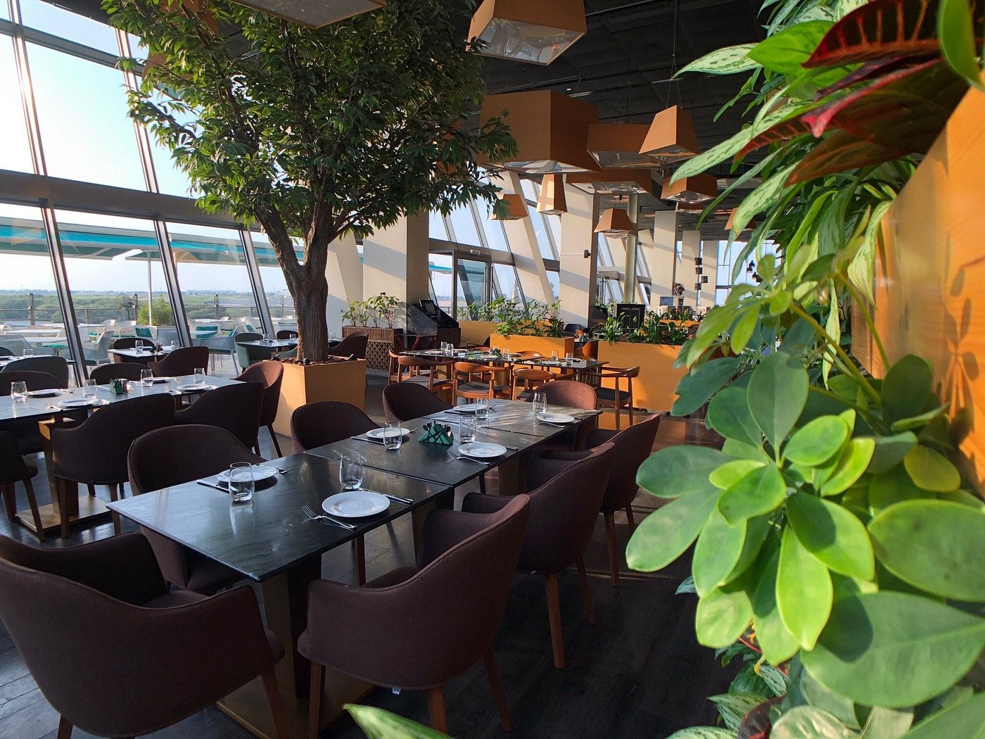 The Grove Restaurant Ajman