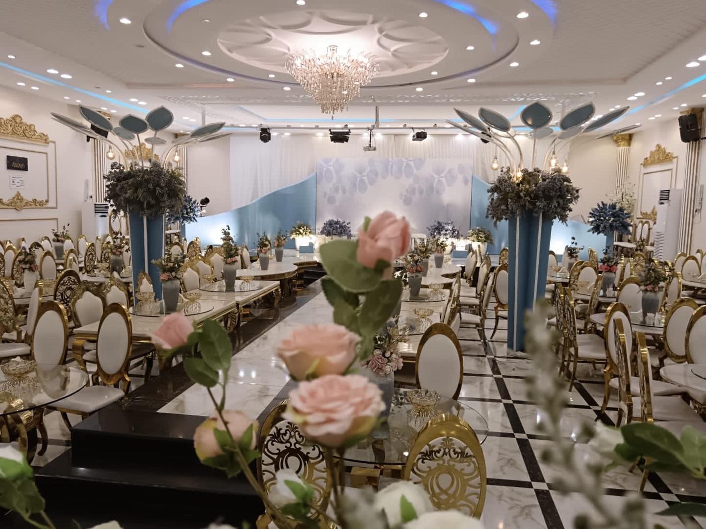 Narcissus Hall Taif