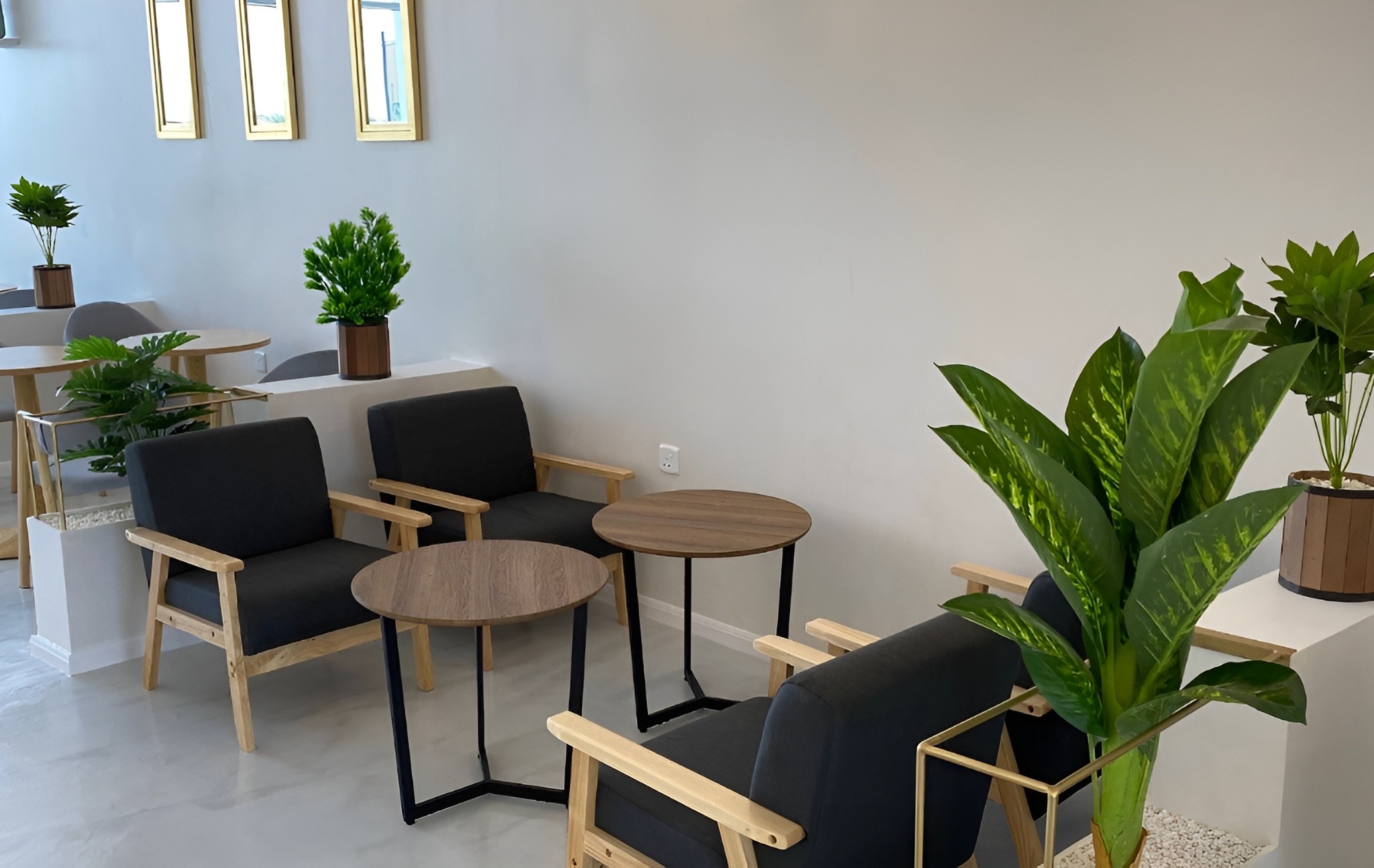Dorzo Coffee Sakaka