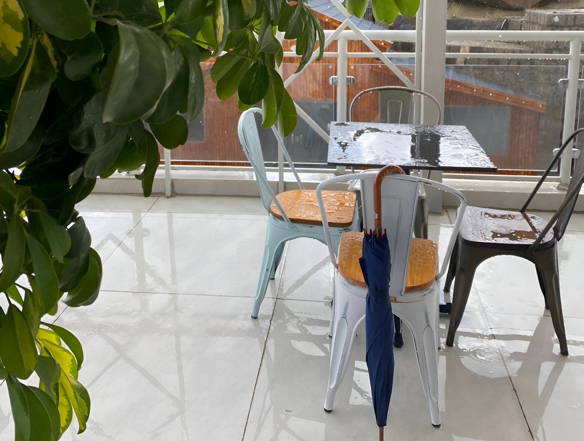 Fog Coffee Abha