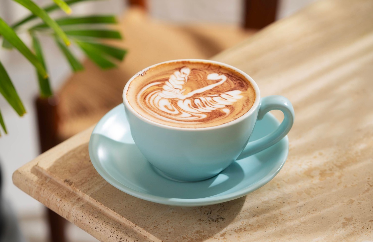 Fog Coffee Abha