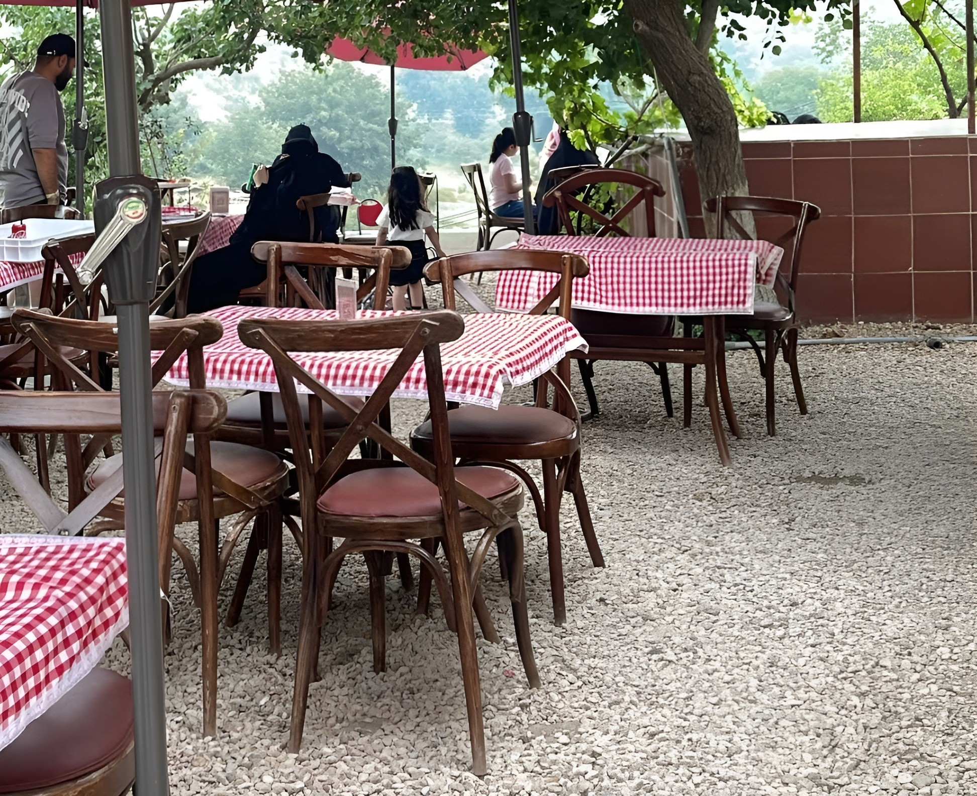 Red Basil Abha