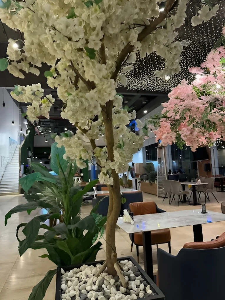 Sara Cafe Tabuk