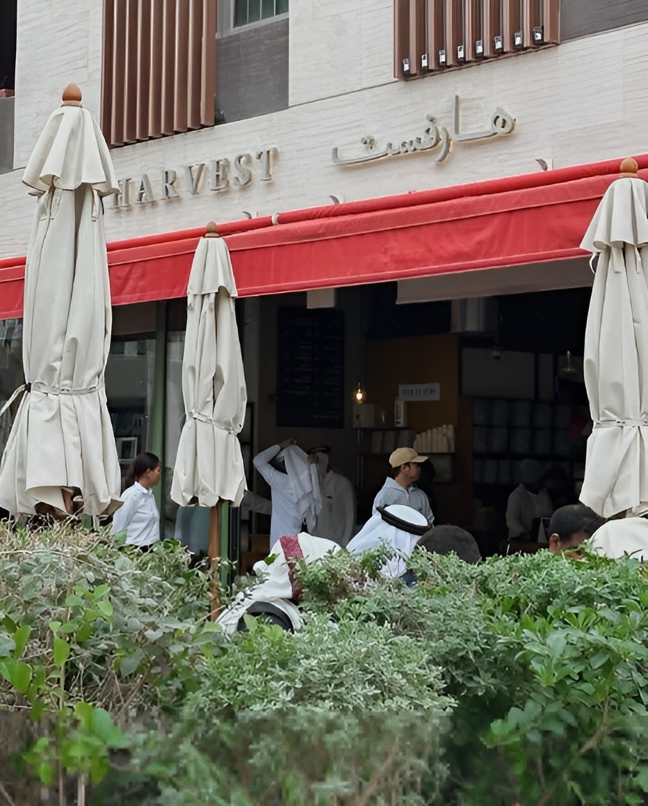 Harvest Coffee | Education City Ar Rayyan
