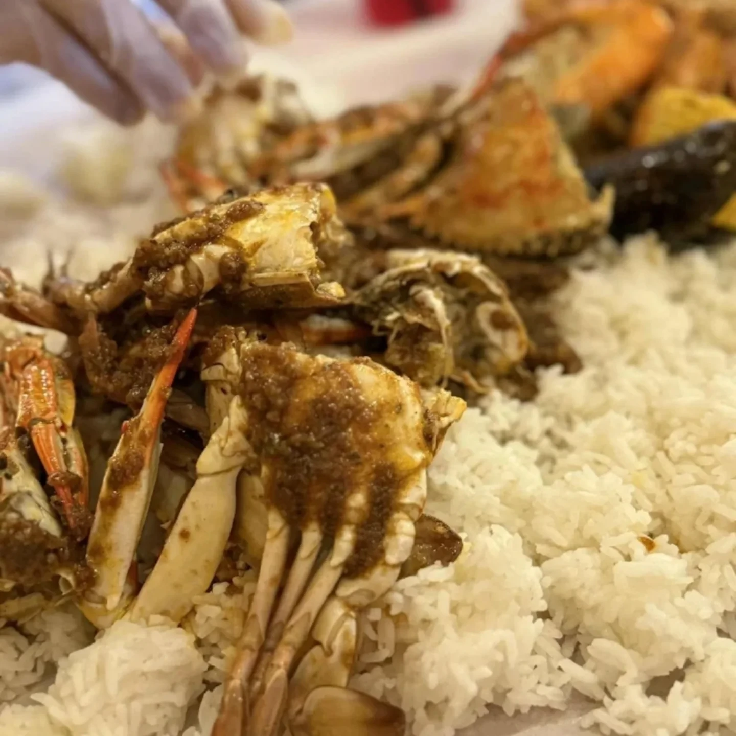 Off the Hook Seafood Restaurant B ring Road Al Muntazah Area Doha