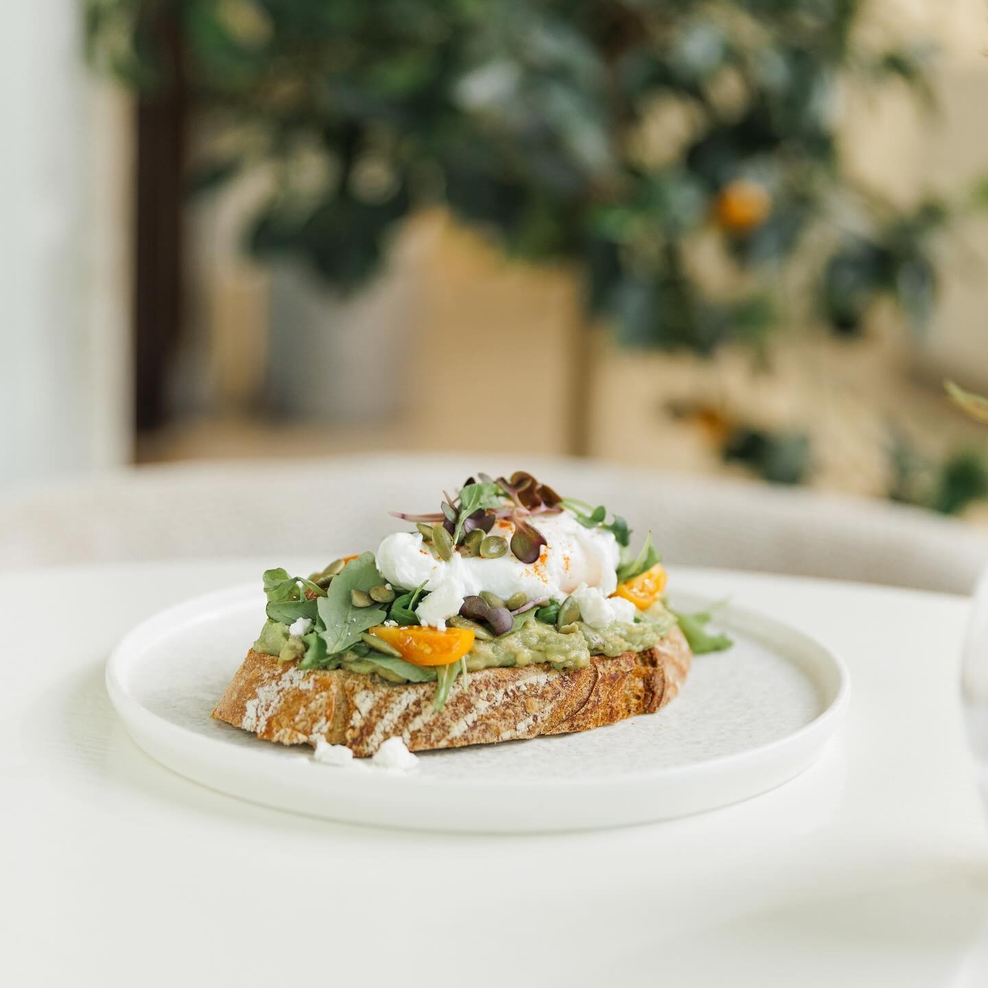 Societe Restaurant Doha