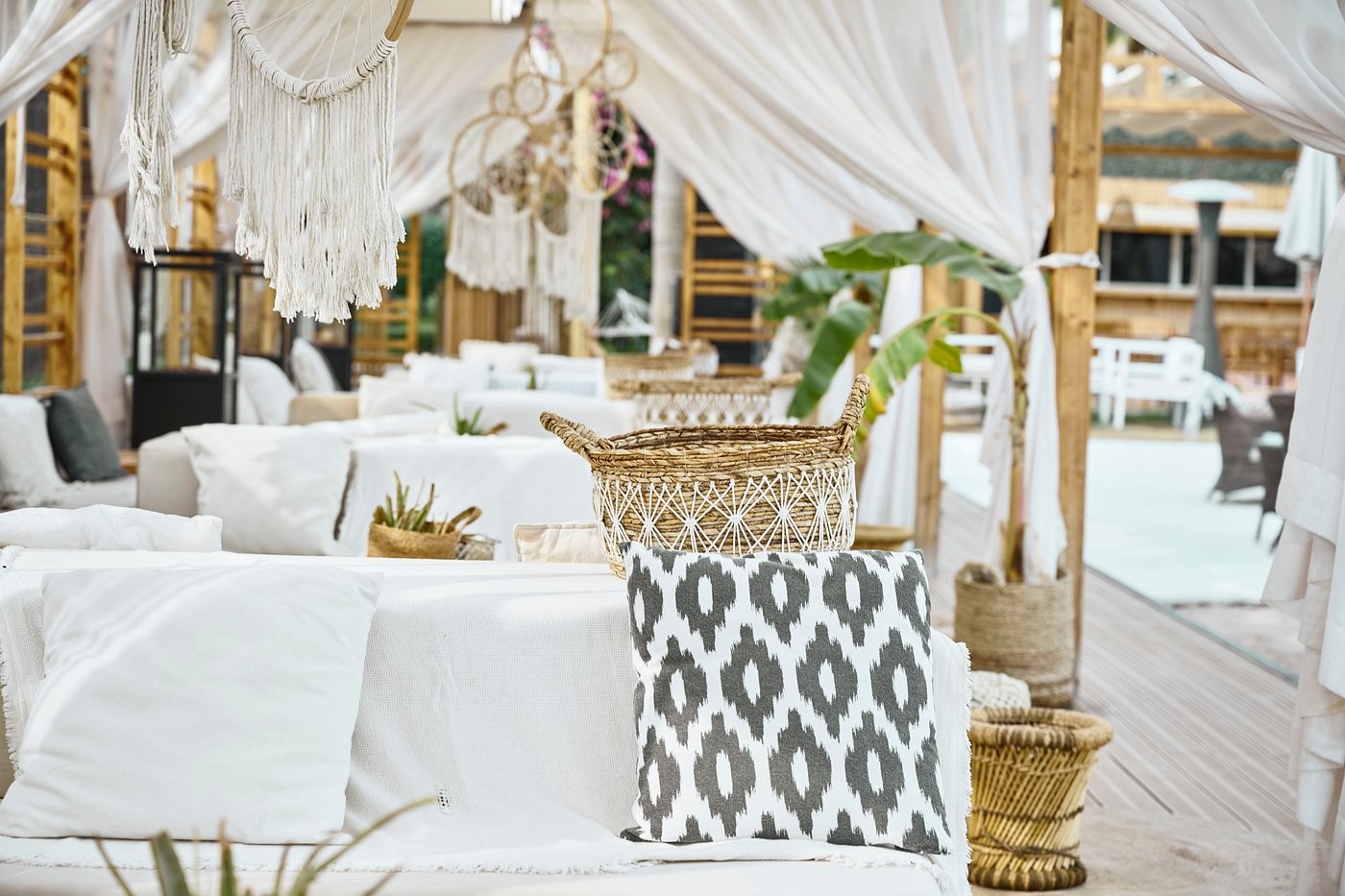 Monkey Tale Doha