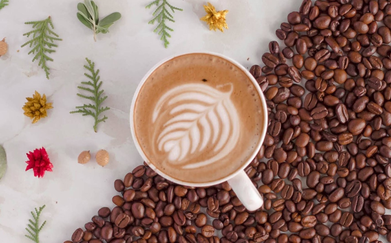 Bos Coffee Ramada Junction Doha