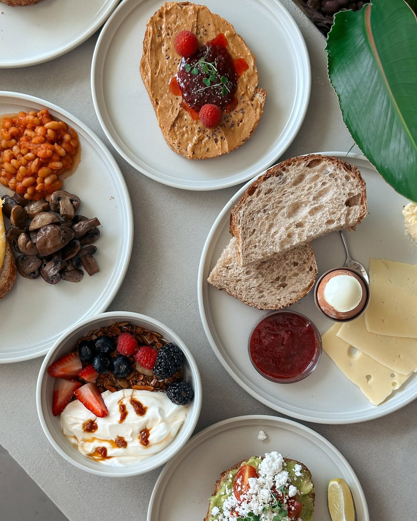 Medium Locale Cafe Lusail