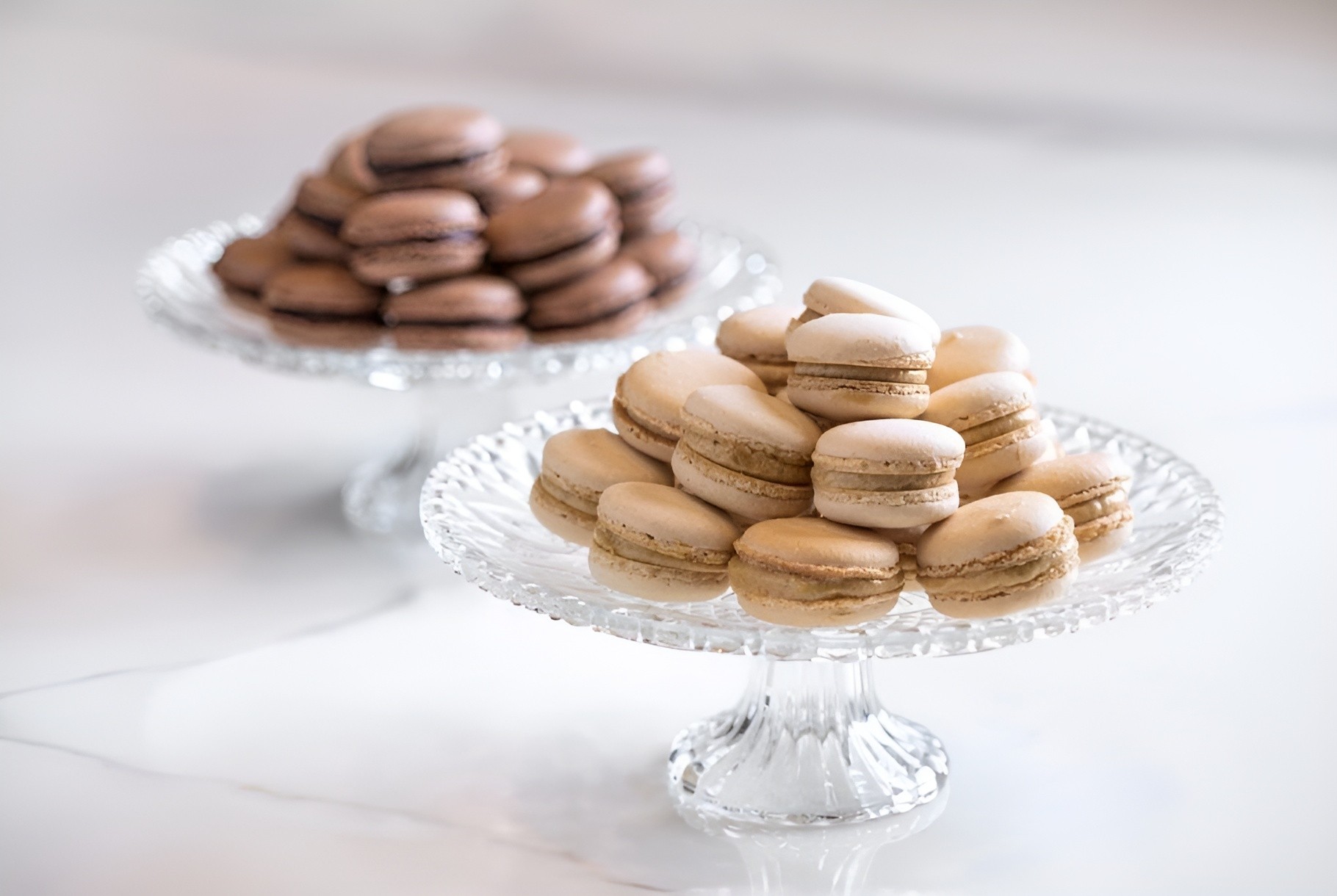 Antoinettes  Cafe Doha