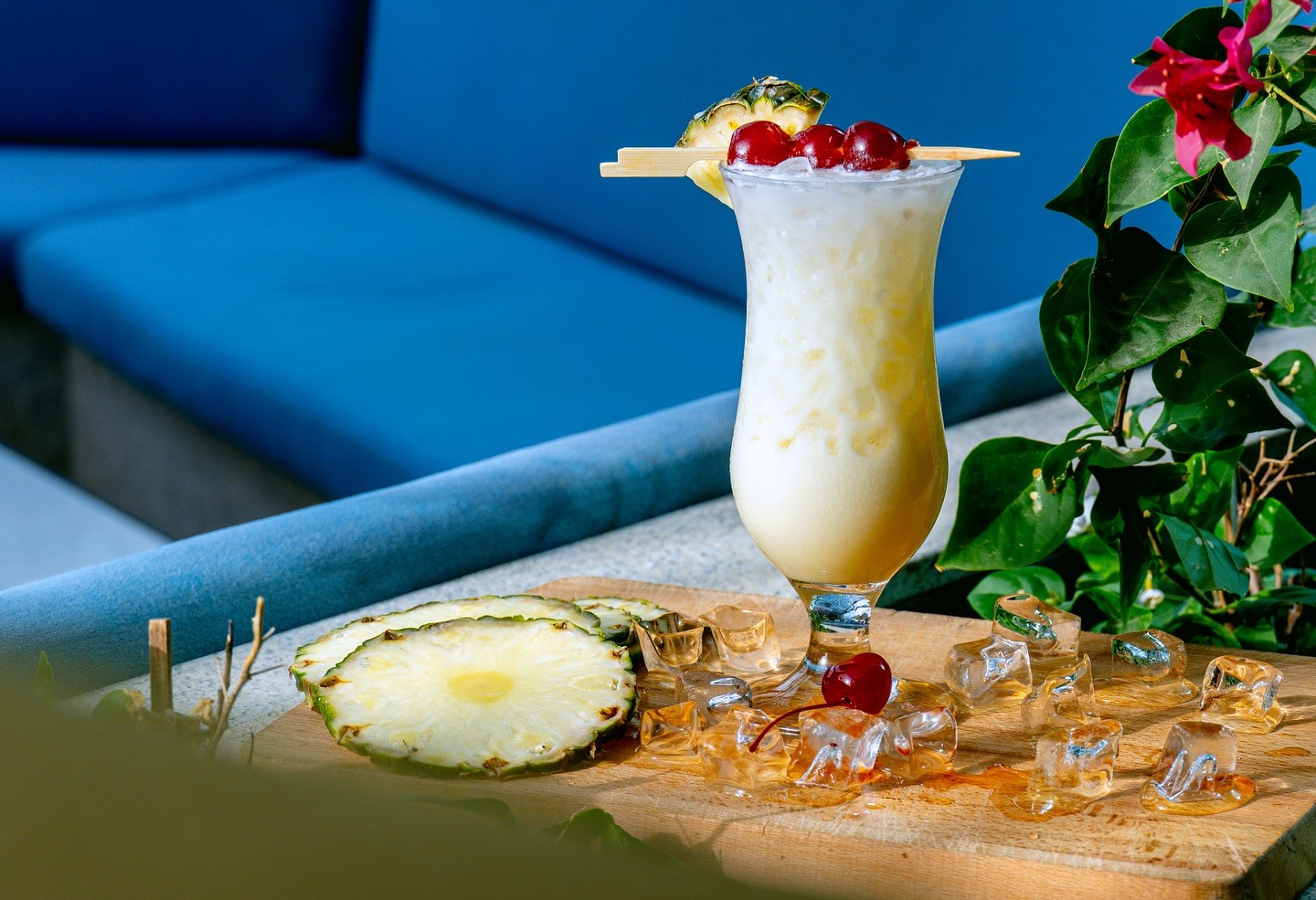 Food & Drinks