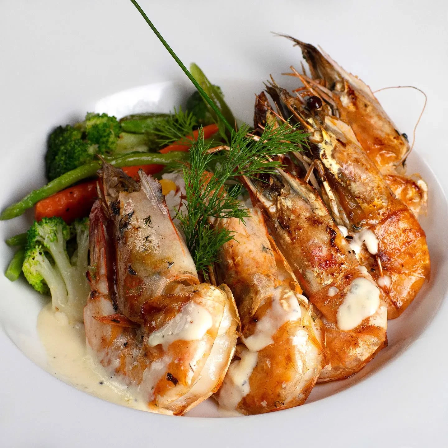 Halo lounge Bahrain