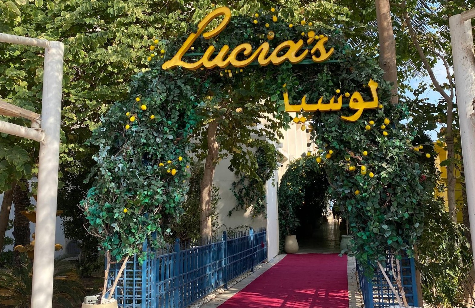 Lucias Doha