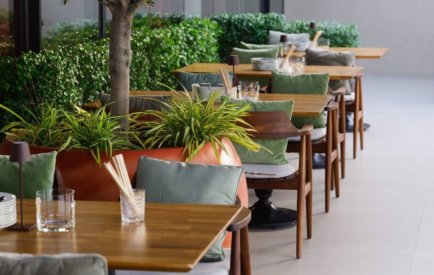 Novikov Doha Restaurant  Beach Club Doha