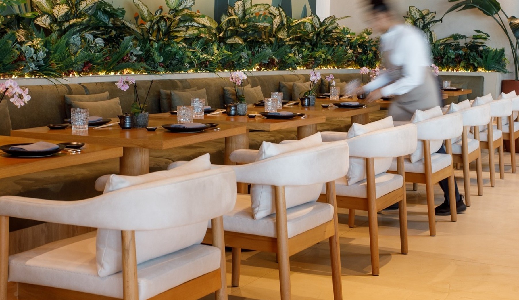 Novikov Doha Restaurant  Beach Club Doha