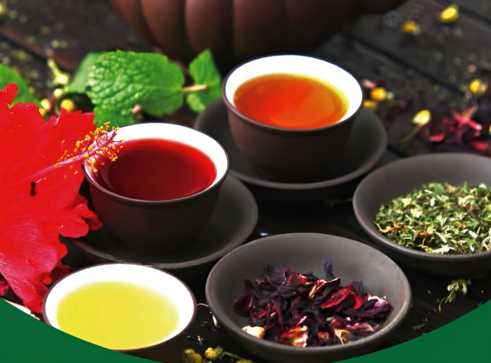 Stassen Tea Lounge