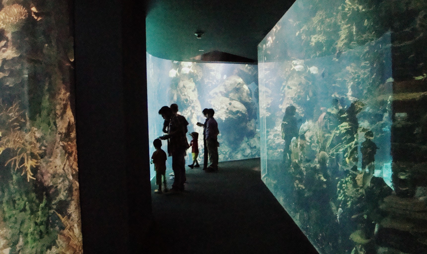 Aquarium