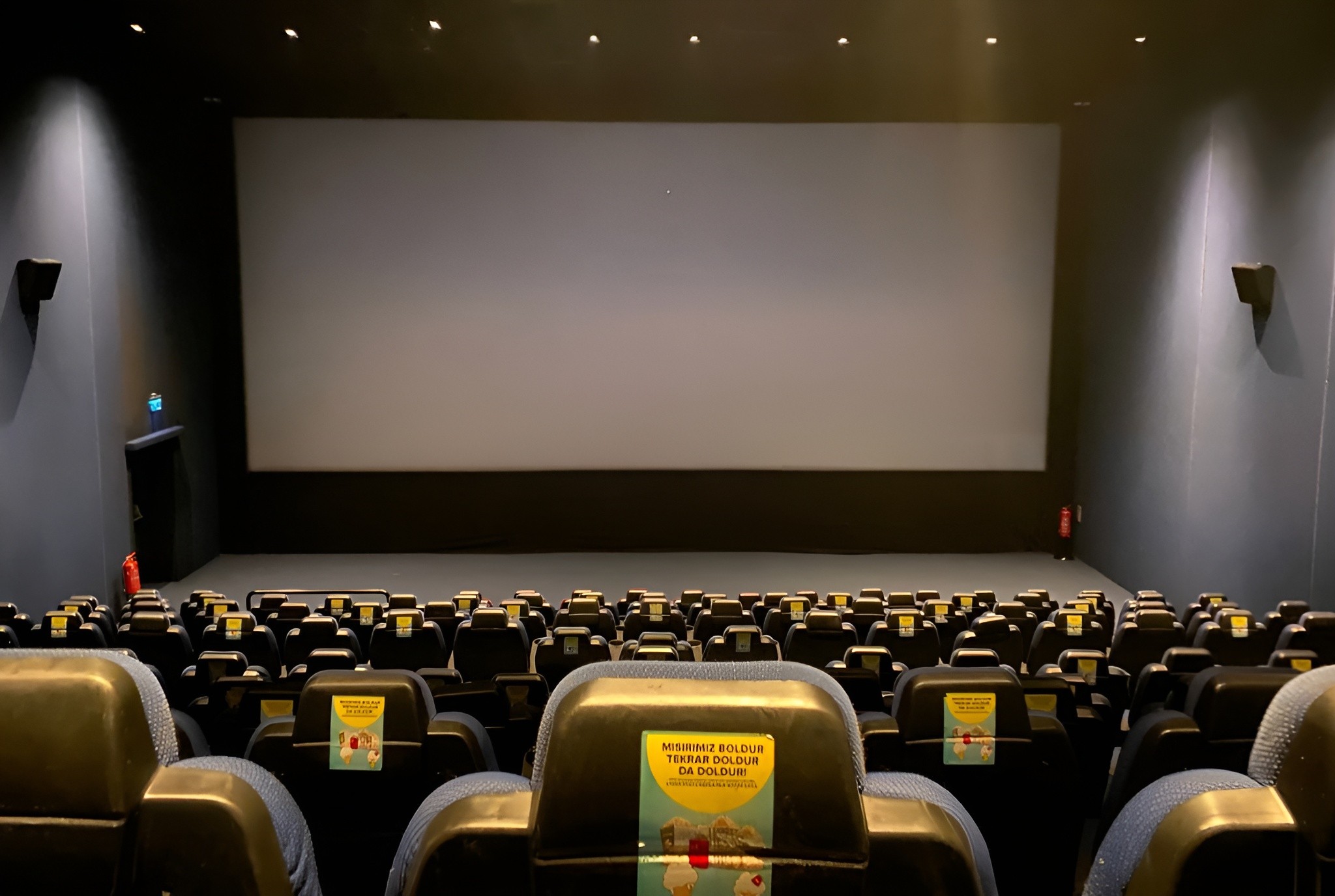 Cinema 2